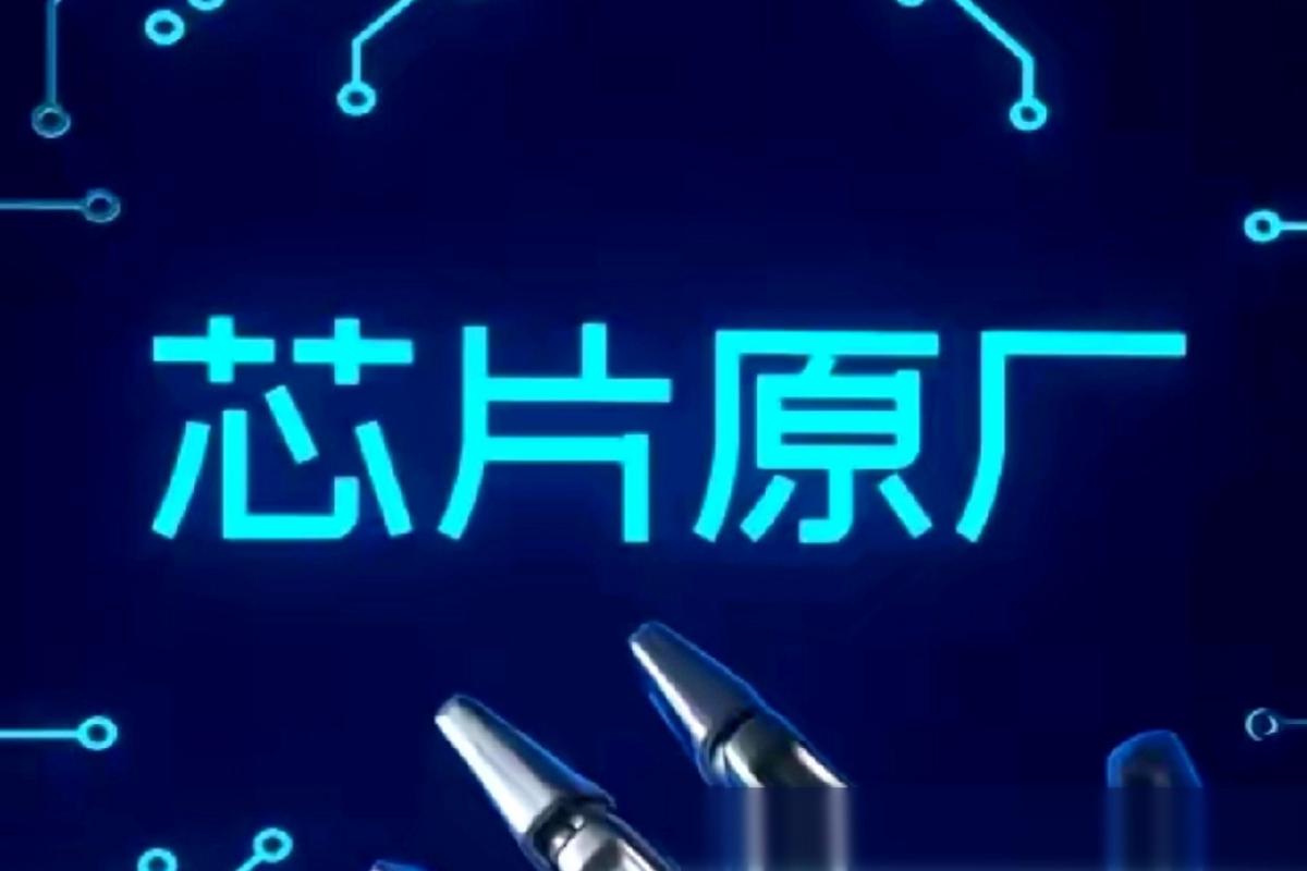 一家陕西咸阳的半导体小厂,员工才几百人,去年营收才六个亿,利润不到